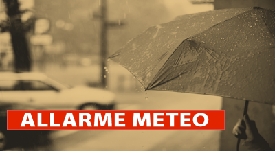 grafica ERSU immagine decorativa